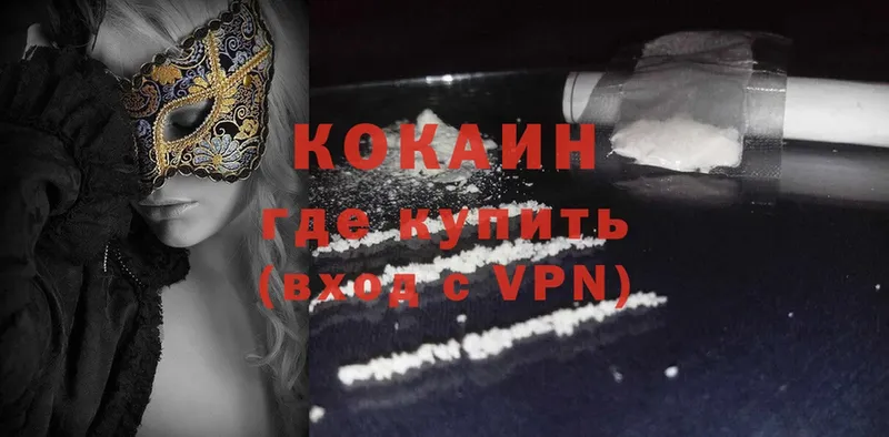 где купить   блэк спрут как зайти  COCAIN Эквадор  Светлоград 